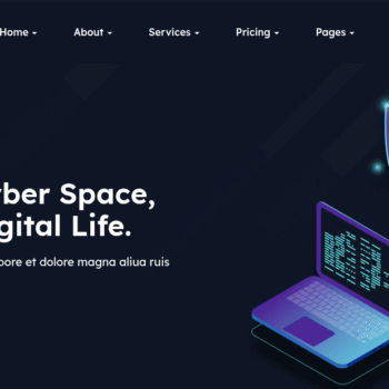 cybersecurity consultant