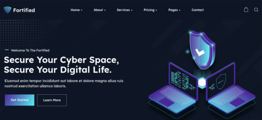 cybersecurity consultant